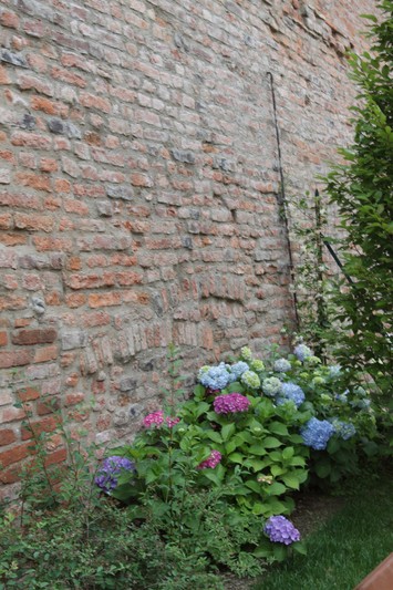 i-il-giardino5